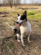 IMG_20230417_005357_204