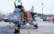 296 APIB Mig-27D 17 Red_61912553153 (3)