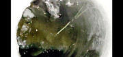 [Image: ICE-MUSKY.jpg]