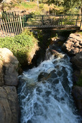 DSC-0573