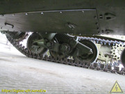 IMG-0118