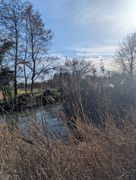 PXL 20260207 104913317