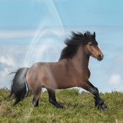 0FA35A81-577E-45CA-A441-5C52B94C8377