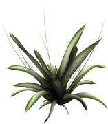 0_17d83c_8ec08b9e_orig