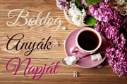 https://i.postimg.cc/xknC6Hbt/345593396-6025357570845669-105053427538301953-n.jpg