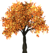 Halloweenpumpkinkitpudnpumpkins2