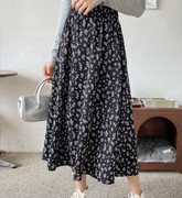 IMG-6581