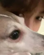 451517aad01603e4d499994da718d306_copy_589x736