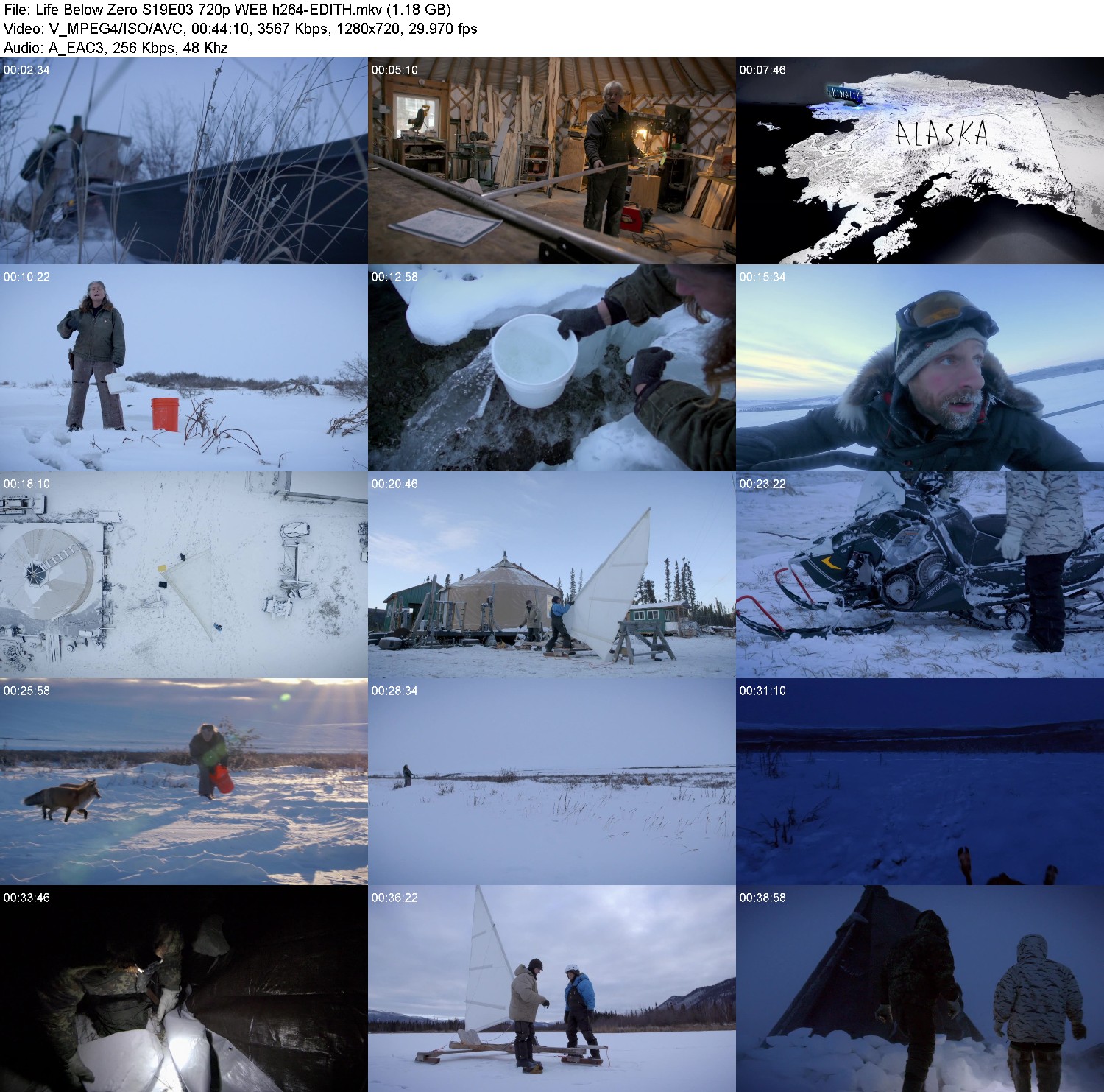 [Image: i1dz7di4csc3.jpg]