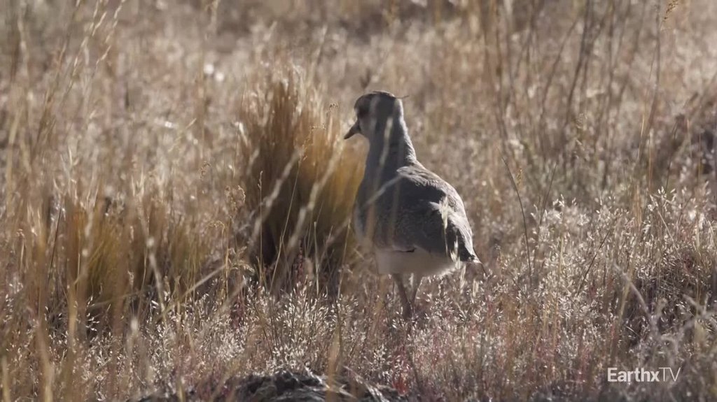 [Image: 6wu4ev69ymwk.jpg]