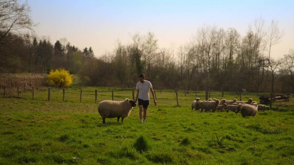 [Image: a5upw7p0l3tt.jpg]