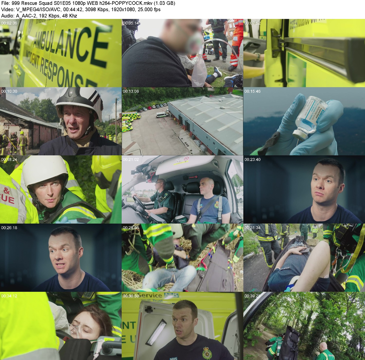 [Image: e2ja7wzm2ap7.jpg]