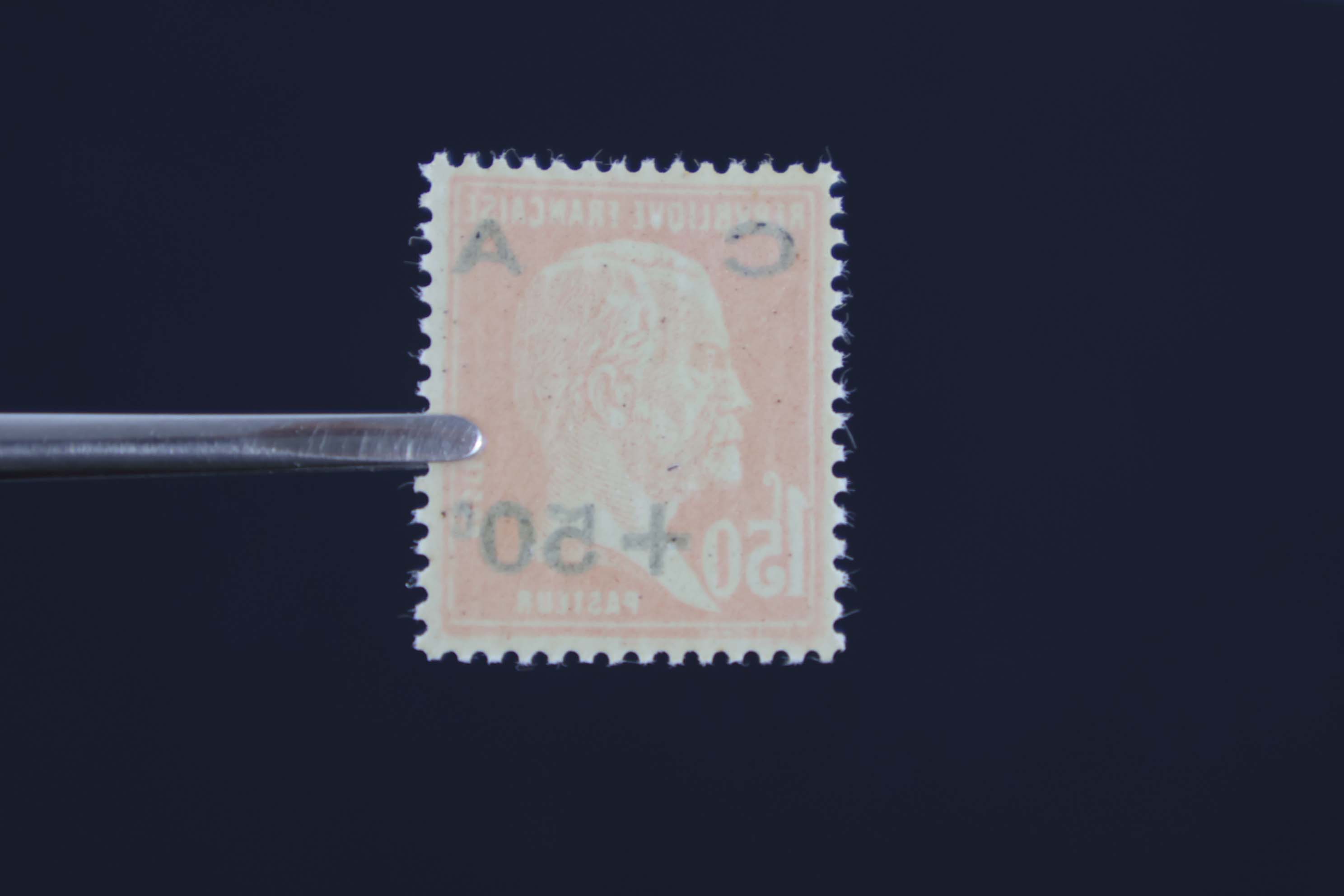 IMG-5100