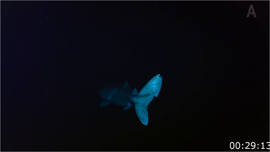 [Image: 54fjhwhbq7i4.png]