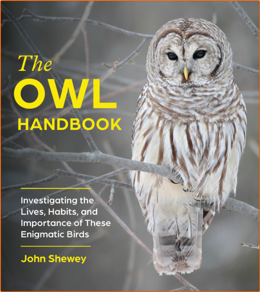 [Image: ow2b77m2drku.png]