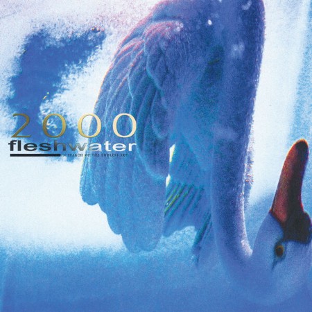 Fleshwater - (2000): In Search Of The Endless Sky (2025)