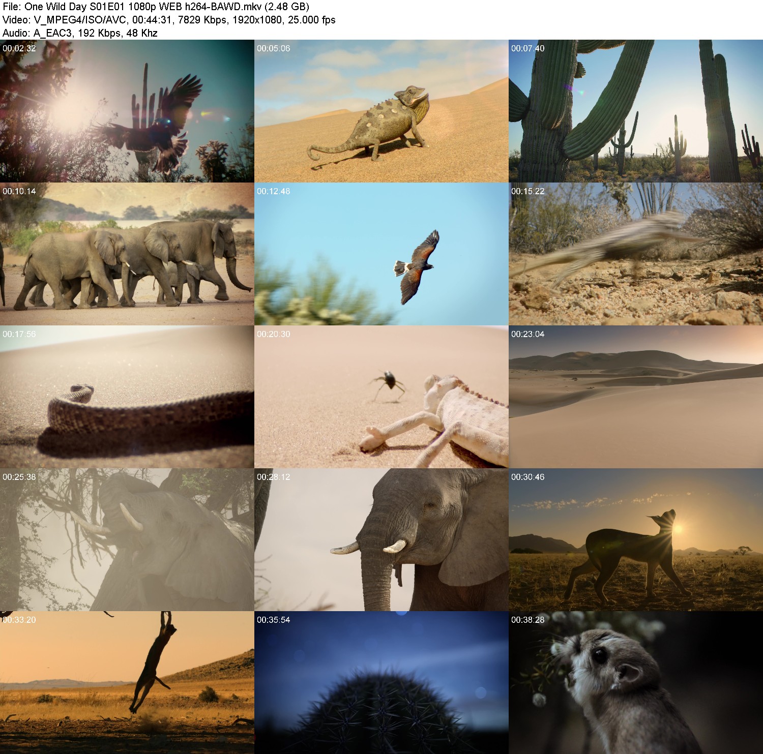 [Image: k10zsolig38e.jpg]