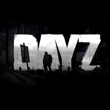 DayZ box art
