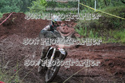 IMG-6608