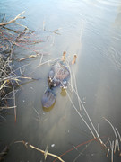IMG-20200429-185721
