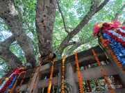 BBG&B13ByeBodhGaya - 8