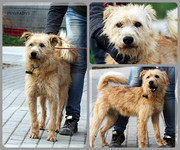 Be-Funky-collage-20.jpg&key=27464bd4d3fa