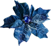 BC-ATaste-Of-Winter-El-29