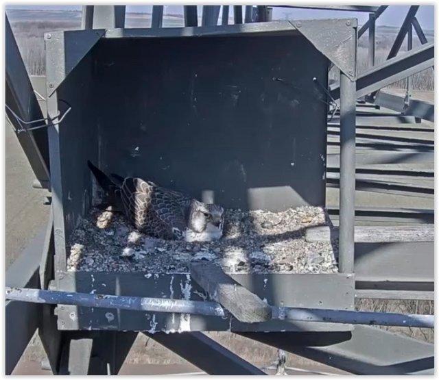 Screen Shot 03-23-22 at 02.22 PM