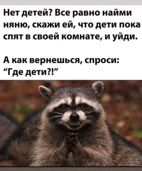 455646444-510982204673431-31860303781263
