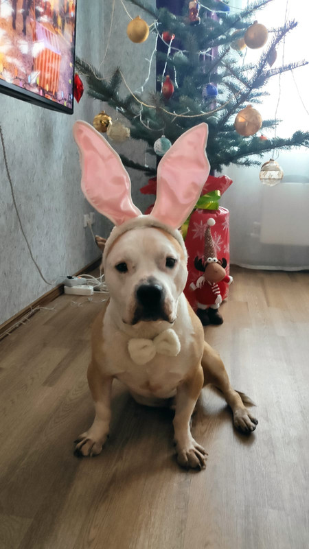 1C12BCA5-E2B0-4DFC-AE51-F8684731D5AD