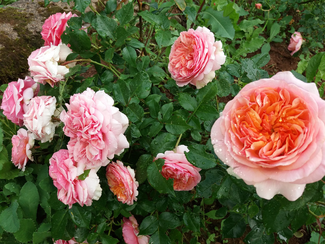 20190602_094824