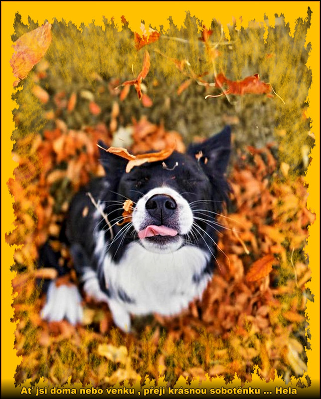 sobota18.11.2023úúúpr