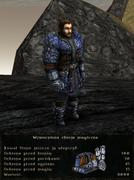 pancerze i ubrania (1)