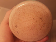 Levain 1 - At refeed