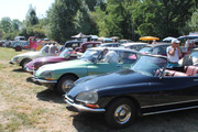 IMG-4647.jpg