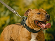 Screenshot_20230708_155002_Gallery