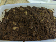 photo5242475564860813923