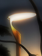 [Image: IMG-2572-v2.jpg]