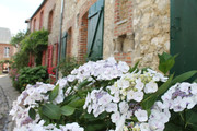 IMG-4204.jpg