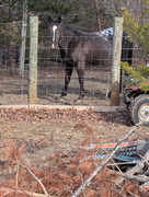 PXL_20250126_155023376