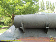 IMG-5558