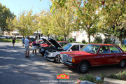 IMG-3284