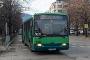 IMG-5031