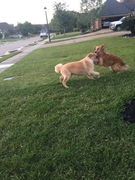 image_2023-02-02_231523095