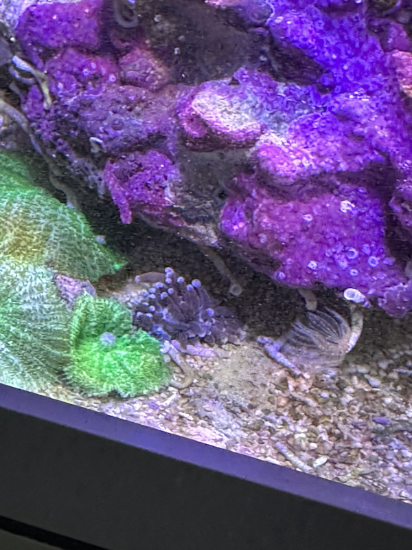 082B1EB7-BB74-4DDF-82BB-9FBEAE01DF46