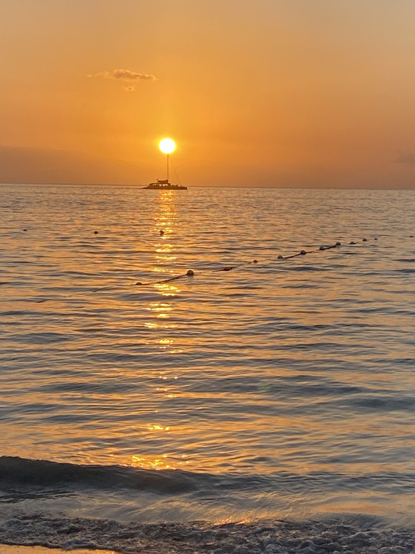 12C7AAA6-4F94-4C64-90F9-49682E8C3435