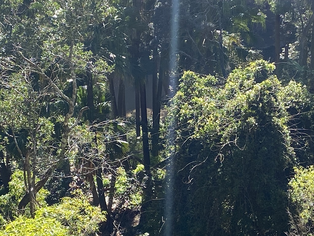 2022 (Jun) - Central (Nth) Qld Solo Trip(web) (106)