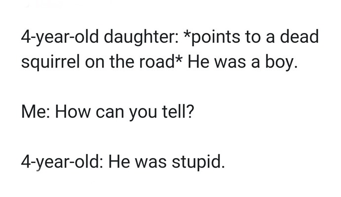 dead_squirrel_is_stupid_boy_squirrel.jpg