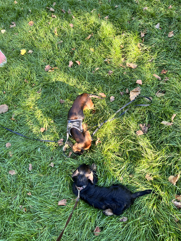 [Image: IMG-3243.jpg]