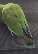IMG-0569